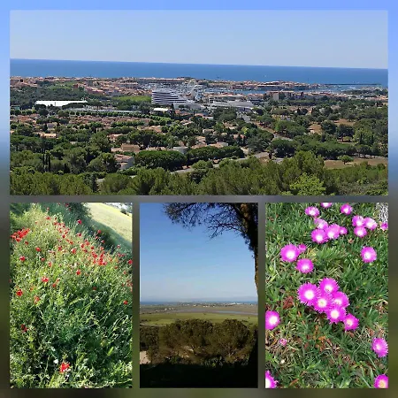 Avec Jardin Et Piscine Proche Bord De Mer
